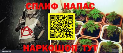 каннабис Ярославль