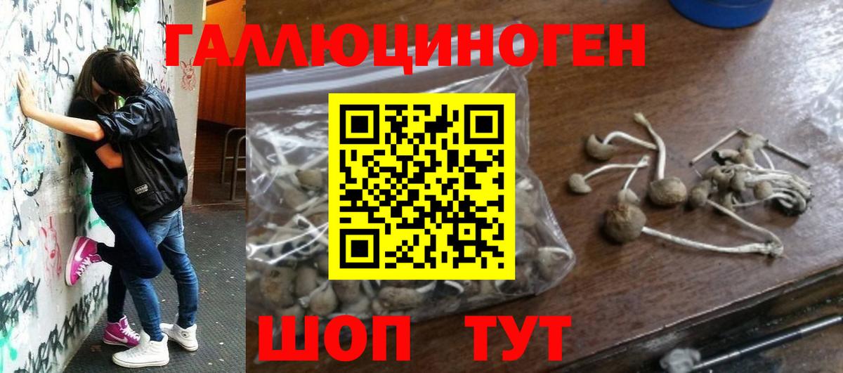 Псилоцибиновые грибы прущие грибы Златоуст