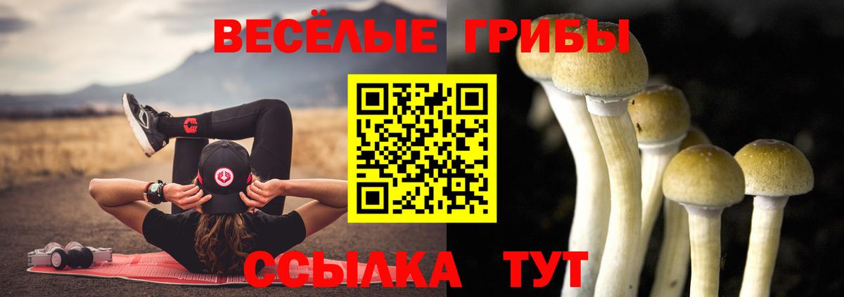 Златоуст  закладка  Вход с VPN  Псилоцибиновые грибы Psilocybine cubensis 